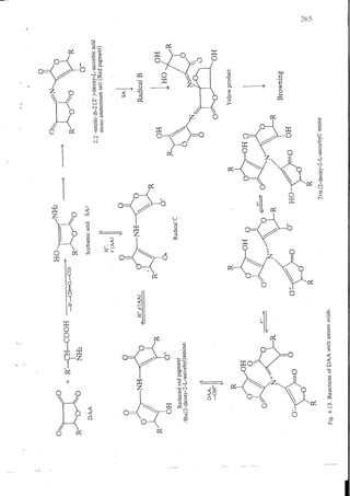 Chemical changes in food during processing