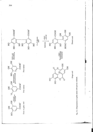 Chemical changes in food during processing