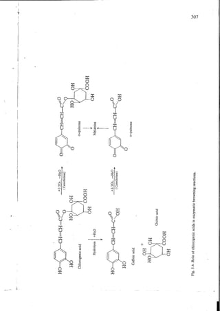 Chemical changes in food during processing