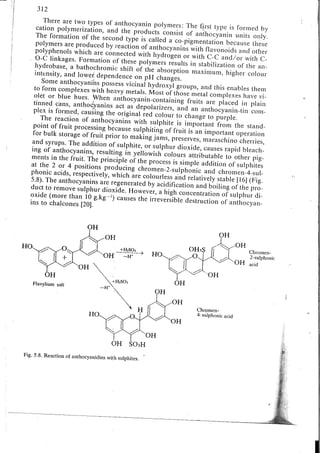 Chemical changes in food during processing