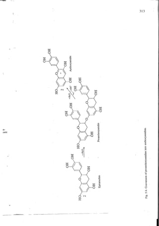 Chemical changes in food during processing