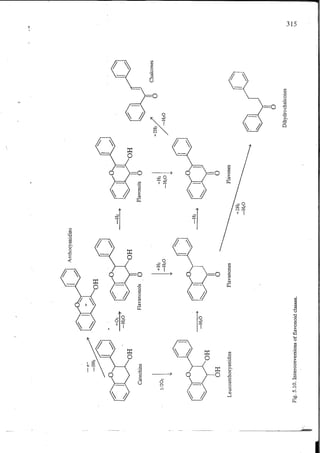 Chemical changes in food during processing