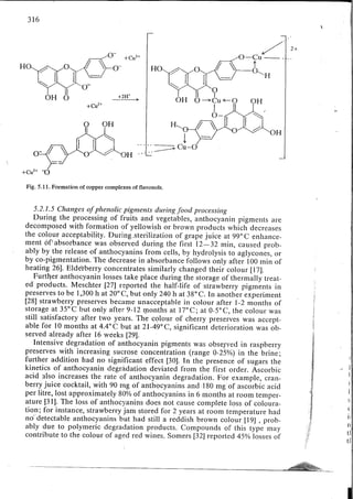 Chemical changes in food during processing