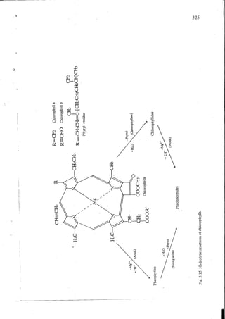 Chemical changes in food during processing