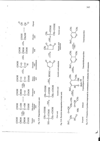 Chemical changes in food during processing