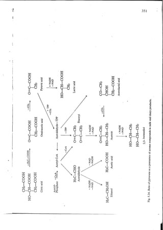 Chemical changes in food during processing