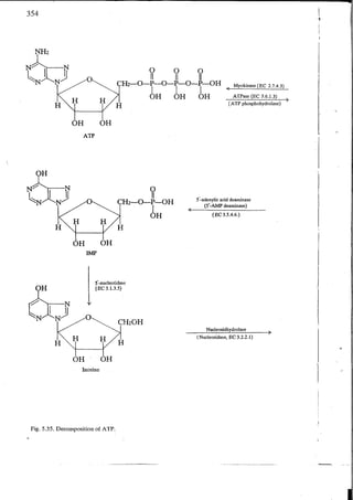 Chemical changes in food during processing