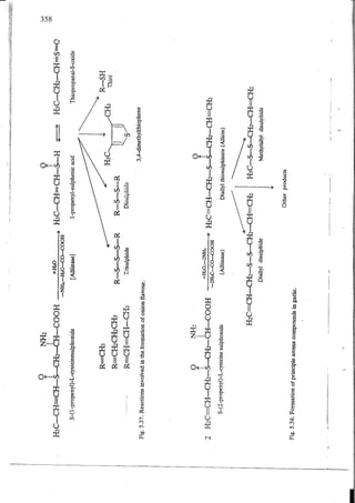Chemical changes in food during processing