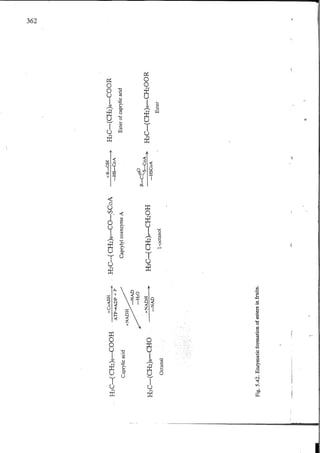 Chemical changes in food during processing