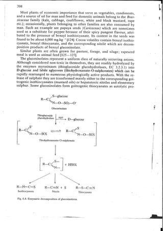 Chemical changes in food during processing