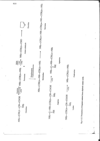 Chemical changes in food during processing