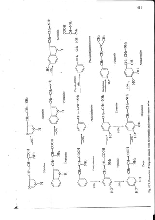 Chemical changes in food during processing