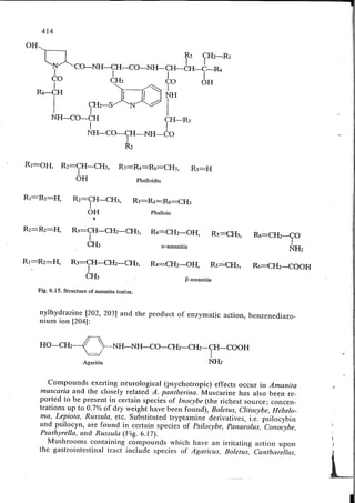 Chemical changes in food during processing