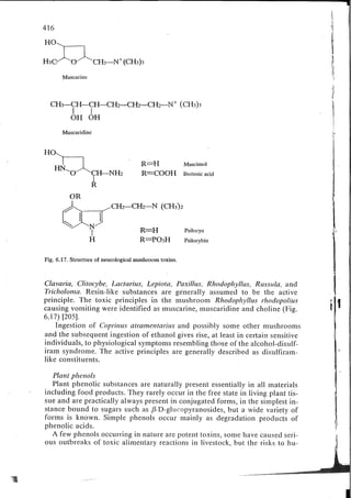 Chemical changes in food during processing