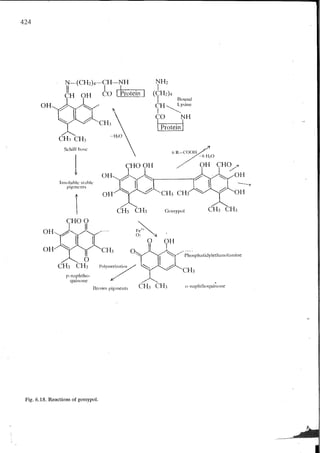 Chemical changes in food during processing