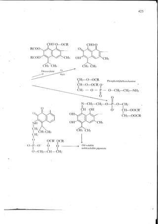 Chemical changes in food during processing