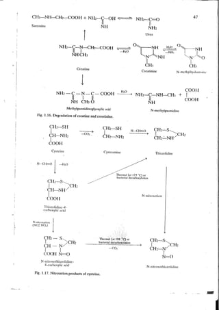 Chemical changes in food during processing