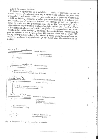 Chemical changes in food during processing