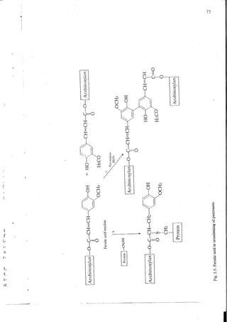 Chemical changes in food during processing