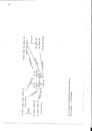 Chemical changes in food during processing