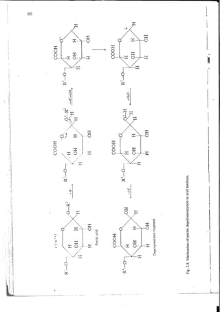 Chemical changes in food during processing
