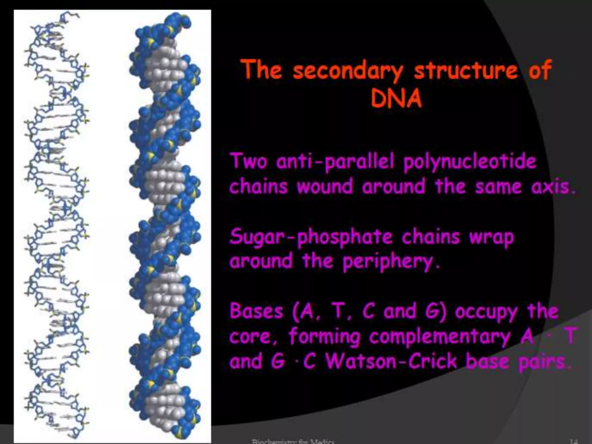Chemical composition and structure of dna | PPTX