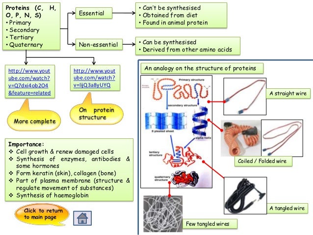 yeast wall cell composition of Chemical cell of composition