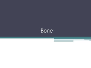Bone
 