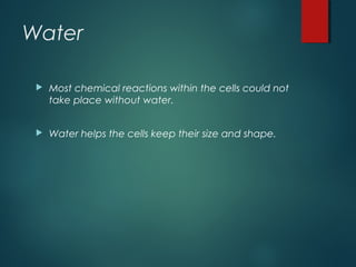 Water
 Most chemical reactions within the cells could not
take place without water.
 Water helps the cells keep their size and shape.
 