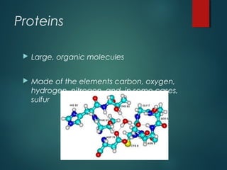 Proteins
 Large, organic molecules
 Made of the elements carbon, oxygen,
hydrogen, nitrogen, and, in some cases,
sulfur
 