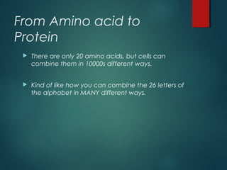 From Amino acid to
Protein
 There are only 20 amino acids, but cells can
combine them in 10000s different ways.
 Kind of like how you can combine the 26 letters of
the alphabet in MANY different ways.
 