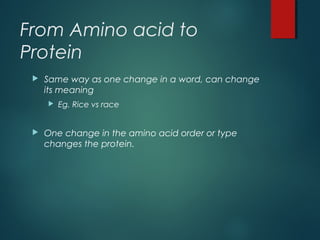 From Amino acid to
Protein
 Same way as one change in a word, can change
its meaning
 Eg. Rice vs race
 One change in the amino acid order or type
changes the protein.
 