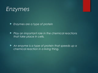 Enzymes
 Enzymes are a type of protein
 Play an important role in the chemical reactions
that take place in cells.
 An enzyme is a type of protein that speeds up a
chemical reaction in a living thing.
 