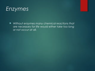 Enzymes
 Without enzymes many chemical reactions that
are necessary for life would either take too long
or not occur at all.
 