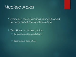 Nucleic Acids
 Carry ALL the instructions that cells need
to carry out all the functions of life.
 Two kinds of nucleic acids:
 Deoxyribonucleic acid (DNA)
 Ribonucleic acid (RNA)
 