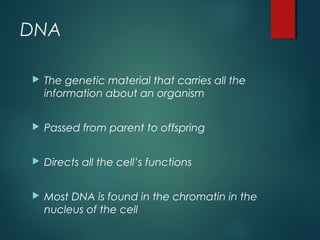 DNA
 The genetic material that carries all the
information about an organism
 Passed from parent to offspring
 Directs all the cell’s functions
 Most DNA is found in the chromatin in the
nucleus of the cell
 
