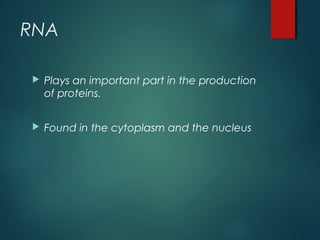 RNA
 Plays an important part in the production
of proteins.
 Found in the cytoplasm and the nucleus
 