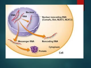 Chemical compounds in cells