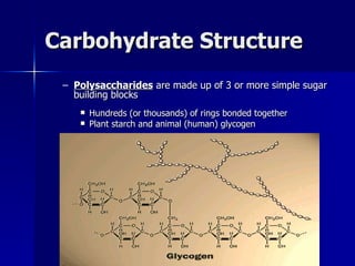 Carbohydrate Structure Polysaccharides  are made up of 3 or more simple sugar building blocks Hundreds (or thousands) of rings bonded together Plant starch and animal (human) glycogen 