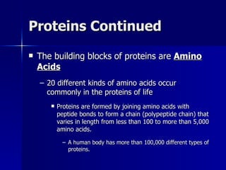 Proteins Continued The building blocks of proteins are  Amino Acids 20 different kinds of amino acids occur commonly in the proteins of life Proteins are formed by joining amino acids with peptide bonds to form a chain (polypeptide chain) that varies in length from less than 100 to more than 5,000 amino acids. A human body has more than 100,000 different types of proteins. 