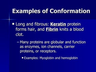 Examples of Conformation Long and fibrous:  Keratin  protein forms hair, and  Fibrin  knits a blood clot. Many proteins are globular and function as enzymes, ion channels, carrier proteins, or receptors. Examples: Myoglobin and hemoglobin 
