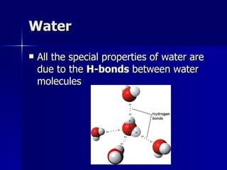 Water All the special properties of water are due to the  H-bonds  between water molecules 