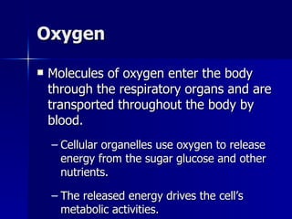 Oxygen Molecules of oxygen enter the body through the respiratory organs and are transported throughout the body by blood. Cellular organelles use oxygen to release energy from the sugar glucose and other nutrients.  The released energy drives the cell’s metabolic activities. 