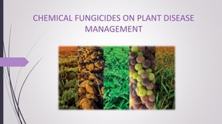 CHEMICAL FUNGICIDES ON PLANT DISEASE
MANAGEMENT
 