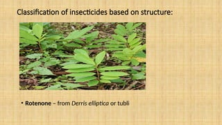 Classification of insecticides based on structure:
• Rotenone – from Derris elliptica or tubli
 
