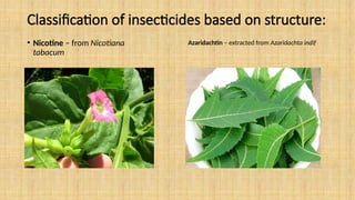 Classification of insecticides based on structure:
• Nicotine – from Nicotiana
tabacum
Azaridachtin – extracted from Azaridachta indif
 