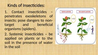 Kinds of Insecticides:
1. Contact insecticides –
penetrates exoskeletons of
insects; pose dangers to non-
target and beneficial
organisms (spiders).
2. Systemic insecticides – be
applied on plants or to the
soil in the presence of water
in the soil
 