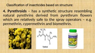 Classification of insecticides based on structure:
4. Pyrethroids – has a synthetic structure resembling
natural pyrethrins derived from pyrethrum flowers
which are relatively safe to the spray operators – e.g.
permethrin, cypermethrin and biomethrin.
 