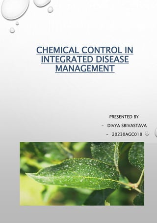 CHEMICAL CONTROL IN
INTEGRATED DISEASE
MANAGEMENT
PRESENTED BY
- DIVYA SRIVASTAVA
- 20230AGC018
 