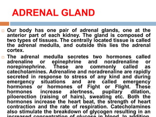 ADRENAL GLAND
 Our body has one pair of adrenal glands, one at the
anterior part of each kidney. The gland is composed of
two types of tissues. The centrally located tissue is called
the adrenal medulla, and outside this lies the adrenal
cortex.
 The adrenal medulla secretes two hormones called
adrenaline or epinephrine and noradrenaline or
norepinephrine. These are commonly called as
catecholamines. Adrenaline and noradrenaline are rapidly
secreted in response to stress of any kind and during
emergency situations and are called emergency
hormones or hormones of Fight or Flight. These
hormones increase alertness, pupilary dilation,
piloerection (raising of hairs), sweating etc. Both the
hormones increase the heart beat, the strength of heart
contraction and the rate of respiration. Catecholamines
also stimulate the breakdown of glycogen resulting in an
 